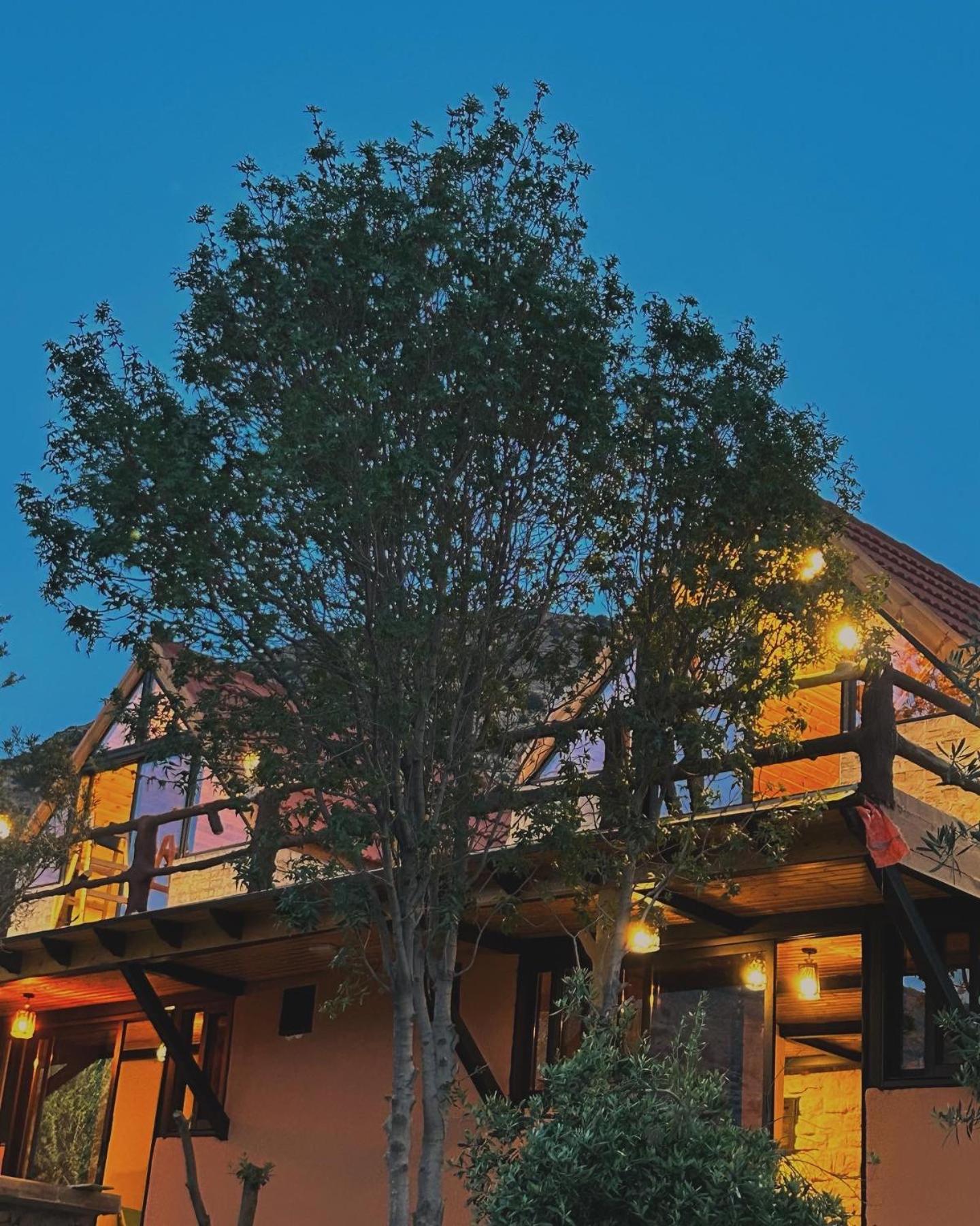 فندق Dana Luxury Huts المظهر الخارجي الصورة