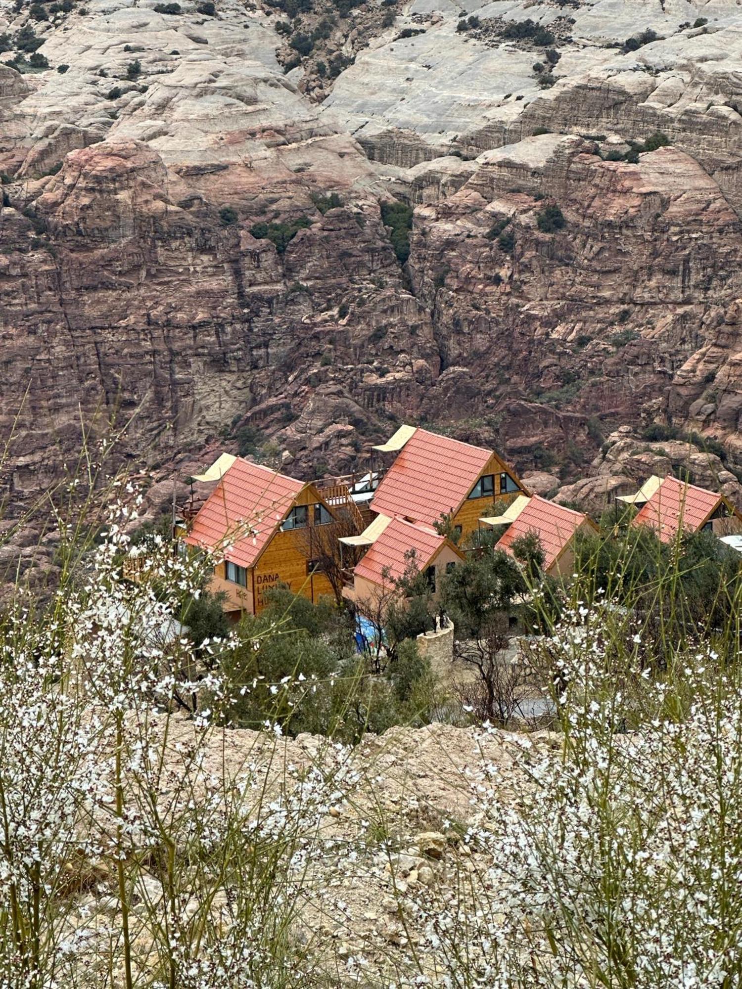 فندق Dana Luxury Huts المظهر الخارجي الصورة